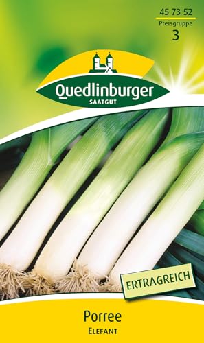 Porree Elefant Porree Elefant von Quedlinburger SAATGUT