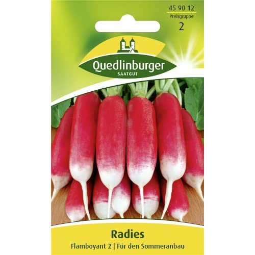 Quedlinburger Radies 'Flamboyant 2', 1 Tüte Samen von Quedlinburger SAATGUT