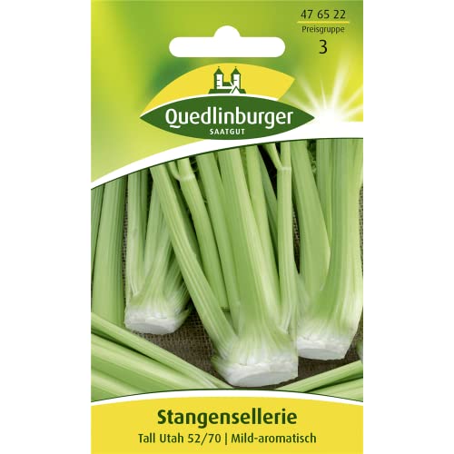 Stangensellerie, Tall Utah 52/70 von Quedlinburger SAATGUT