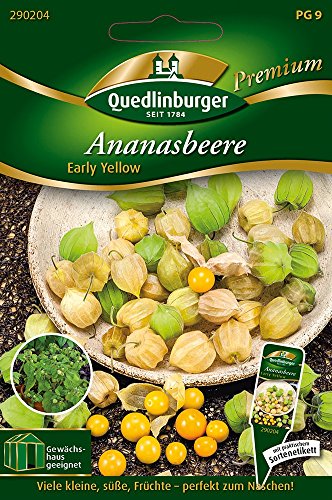 Ananasbeere Early Yellow von Quedlinburger Saatgut von Quedlinburger