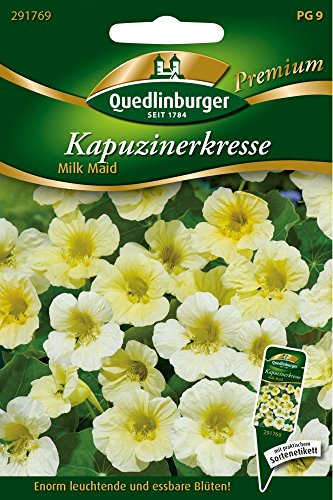 Kapuzinerkresse Milk Maid von Quedlinburger Saatgut von Quedlinburger SAATGUT