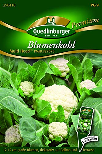 Kleinblumiger Blumenkohl Multi Head®,1 Portion von Quedlinburger Saatgut