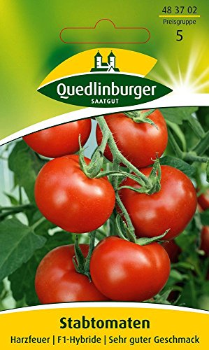 Tomatensamen - Tomate Harzfeuer F1 von Quedlinburger Saatgut von Quedlinburger
