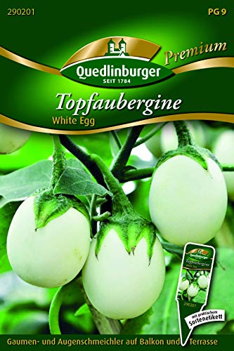 Topf-Aubergine, White Egg Quedlinburger Saatgut Samen 290201 von Quedlinburger Saatgut