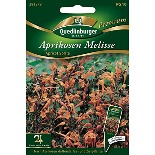 Aprikosen Melisse von Quedlinburger