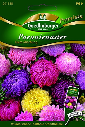 Astern Paeonien- Turm Mischung - Callistephus chinesis QLB Premium Saatgut Blumen einjährig von Quedlinburger