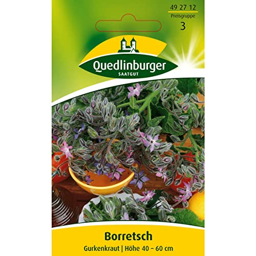 Borretsch Borretsch von Quedlinburger