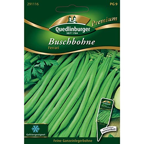 Buschbohne, Ferrari von Quedlinburger SAATGUT