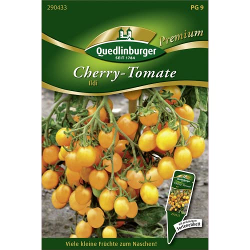 Cherrytomate, Ildi F1 Cherrytomate, Ildi F1 von Quedlinburger SAATGUT