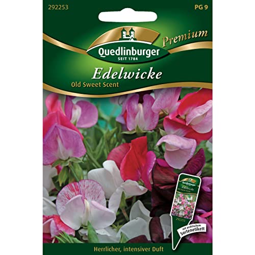 Edelwicken, Old Sweet Scent von Quedlinburger