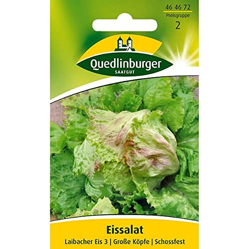 Eissalat, Laibacher Eis 2 von Quedlinburger