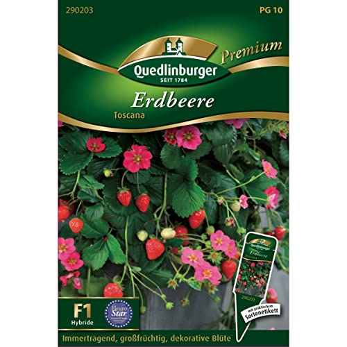 Erdbeere, Toscana von Quedlinburger