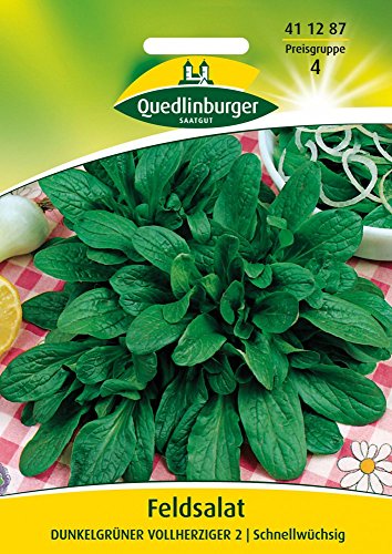 Feldsalat 'Dunkelgrüner vollherziger 2', 20 g von Quedlinburger