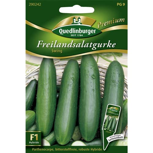 Freilandsalatgurke, Swing F1 von Quedlinburger