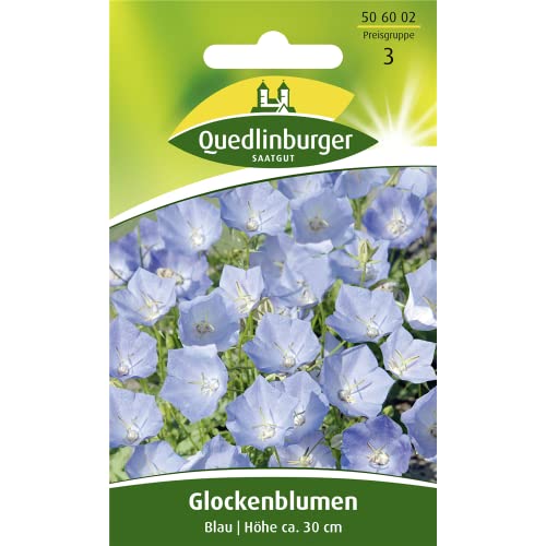 Glockenblumen Blau | Höhe ca. 30 cm (Campanula carpatica) Juni – August ab dem 2. Jahr- von Quedlinburger
