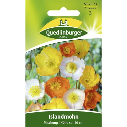 Islandmohn, Mischung von Quedlinburger