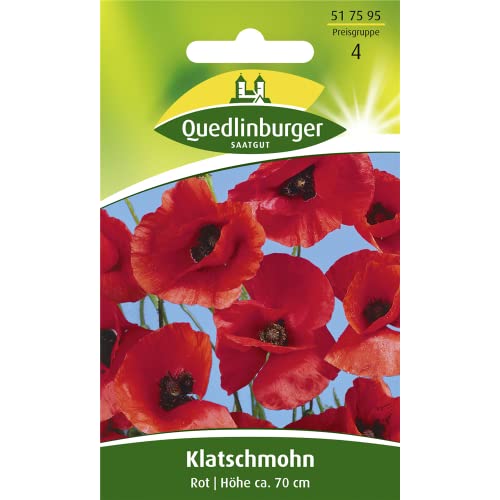 Klatschmohn, Rot von Quedlinburger