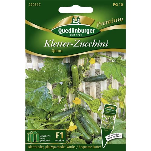 Quedlinburger Saatgut - Kletterzucchini Quine Samen von Quedlinburger