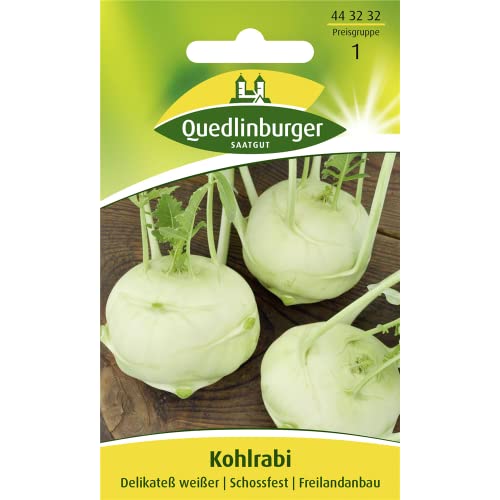 Kohlrabi, Delikateß weisser Kohlrabi, Delikateß weisser von Quedlinburger SAATGUT