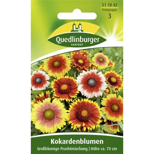 Kokardenblume, Großblumige Prachtmischung von Quedlinburger