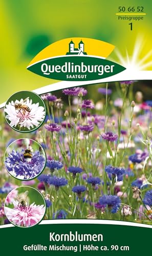 Kornblume, Gefüllte Mischung von Quedlinburger