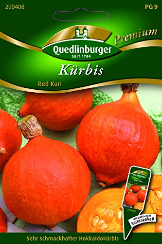 Kürbis Red Kuri - Cucurbita maxima duchesne QLB Premium Saatgut Kürbis von Quedlinburger