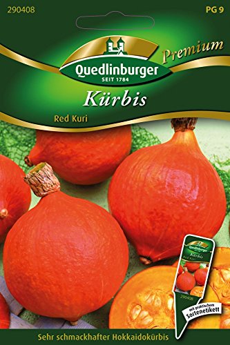 Kürbis Red Kuri von Quedlinburger Saatgut von Quedlinburger