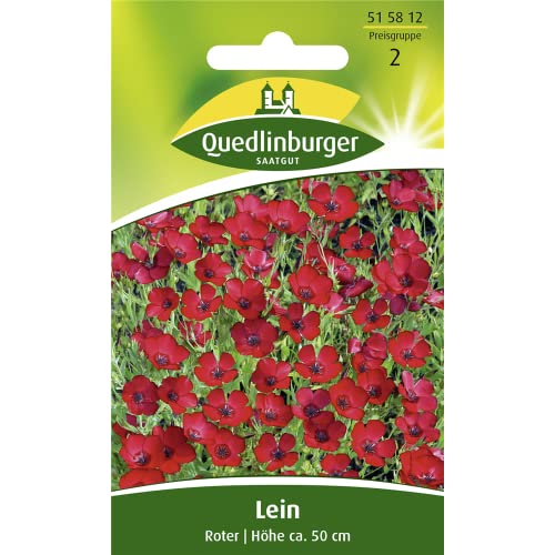 Lein, Roter von Quedlinburger