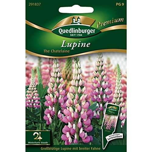 Lupine, The Chatelaine Lupine, The Chatelaine von Quedlinburger