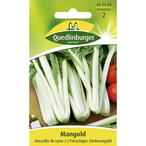 Mangold, Amarilla de Lyon 2 Mangold, Amarilla de Lyon 2 von Quedlinburger