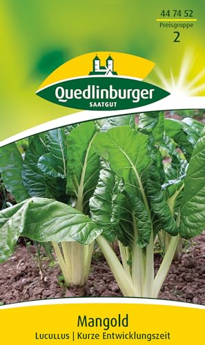 Mangold, Lucullus von Quedlinburger SAATGUT