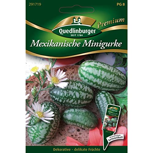 Quedlinburger Saatgut Mexikanische Minigurke Samen Quedlinburger Saatgut Mexikanische Minigurke Samen von Quedlinburger