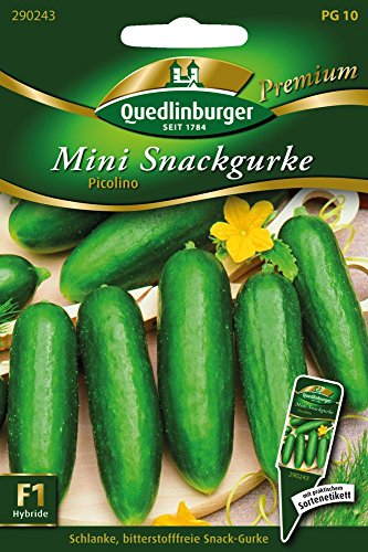 Mini Snackgurke, Picolino F1 von Quedlinburger