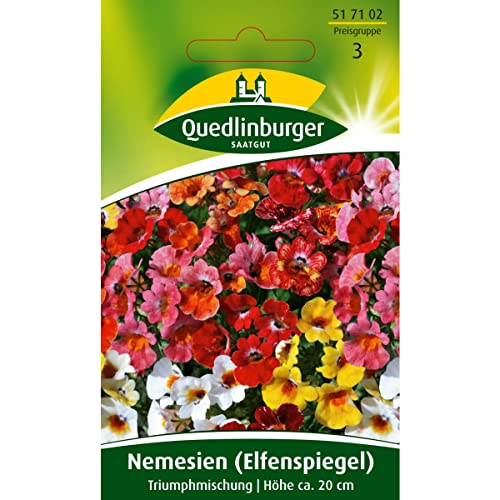 Nemesie (Elfenspiegel), Triumph Mischung von Quedlinburger