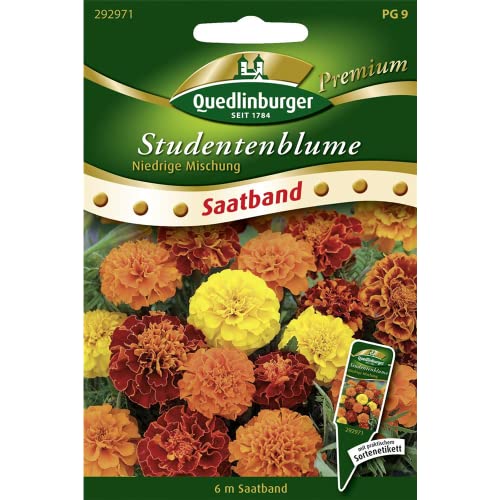 Niedrige Studentenblume' Saatband, 6 Meter von Quedlinburger