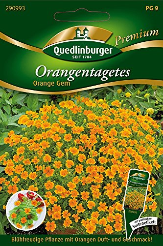 Orangen-Tagetes Orange von Quedlinburger Saatgut von Quedlinburger