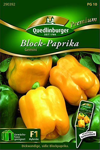 Paprika Block- gelb Gemini - Capsicum annuum L. QLB Premium Saatgut Paprika von Quedlinburger