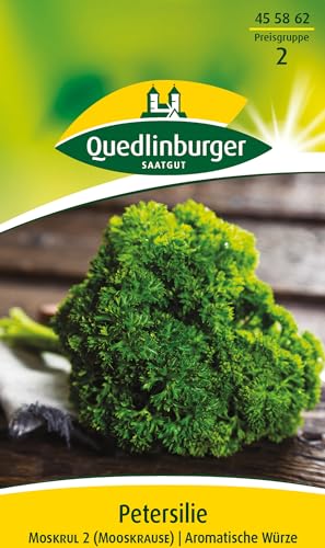 Petersilie, Mooskrause 2/Gärtnerstolz von Quedlinburger SAATGUT