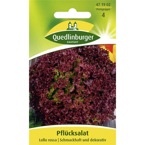 Pflücksalat, Lollo rossa von Quedlinburger SAATGUT