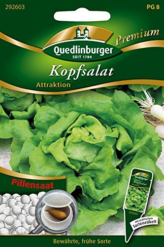 Pillensaat Kopfsalat Attraktion von Quedlinburger Saatgut Pillensaat Kopfsalat Attraktion von Quedlinburger Saatgut von Quedlinburger