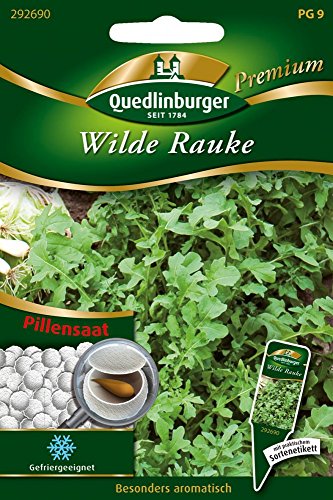 Pillensaat Wilde Rauke von Quedlinburger Saatgut von Quedlinburger