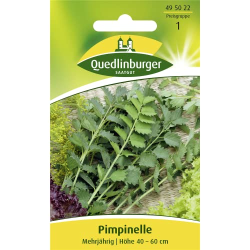 Pimpinelle von Quedlinburger