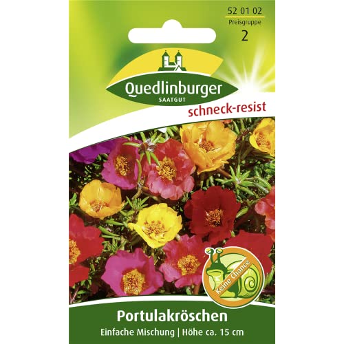 Quedlinburger Saatgut Portulakröschen, Einfachblühende Supermischung Samen von Quedlinburger