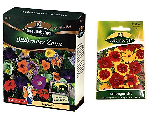 Blühender Zaun | Blumenwiese | 1x Schöngesicht kostenlos von Quedlinburger
