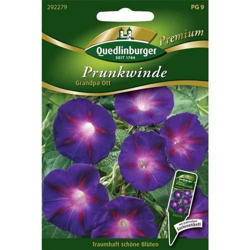 Prunkwinde, Grandpa Ott von Quedlinburger SAATGUT