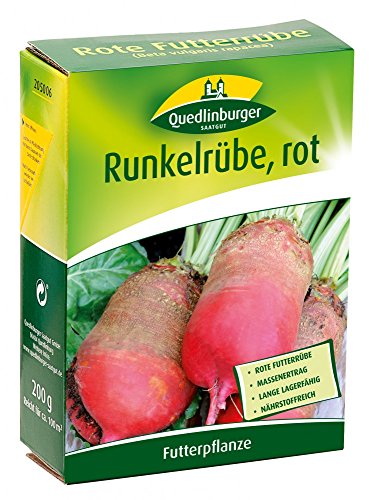 Quedlinburger 205006 Runkelrübe rot 200 g (Rübensamen) von Quedlinburger