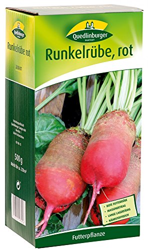 Quedlinburger 205007 Runkelrübe rot, 500 g (Rübensamen) von Quedlinburger