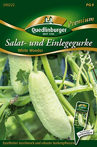 Quedlinburger 290222 Gurke White Wonder (Salatgurkensamen) von Quedlinburger