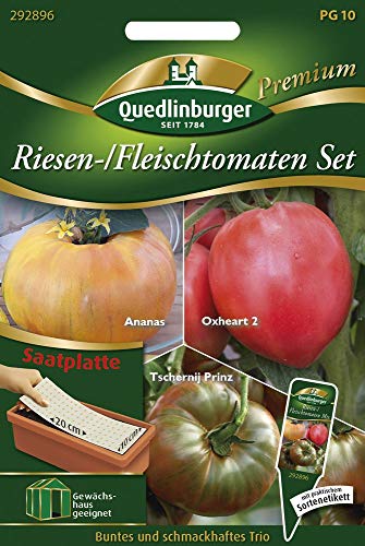 Quedlinburger 292896 Riesen-/ Fleischtomaten Set (Saatplatte) (Fleischtomatensamen) von Quedlinburger