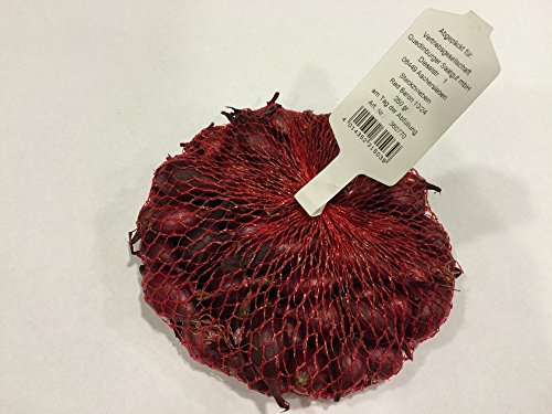 Quedlinburger 360770 Steckzwiebel Red Baron (250 g) (Steckzwiebeln) von Quedlinburger